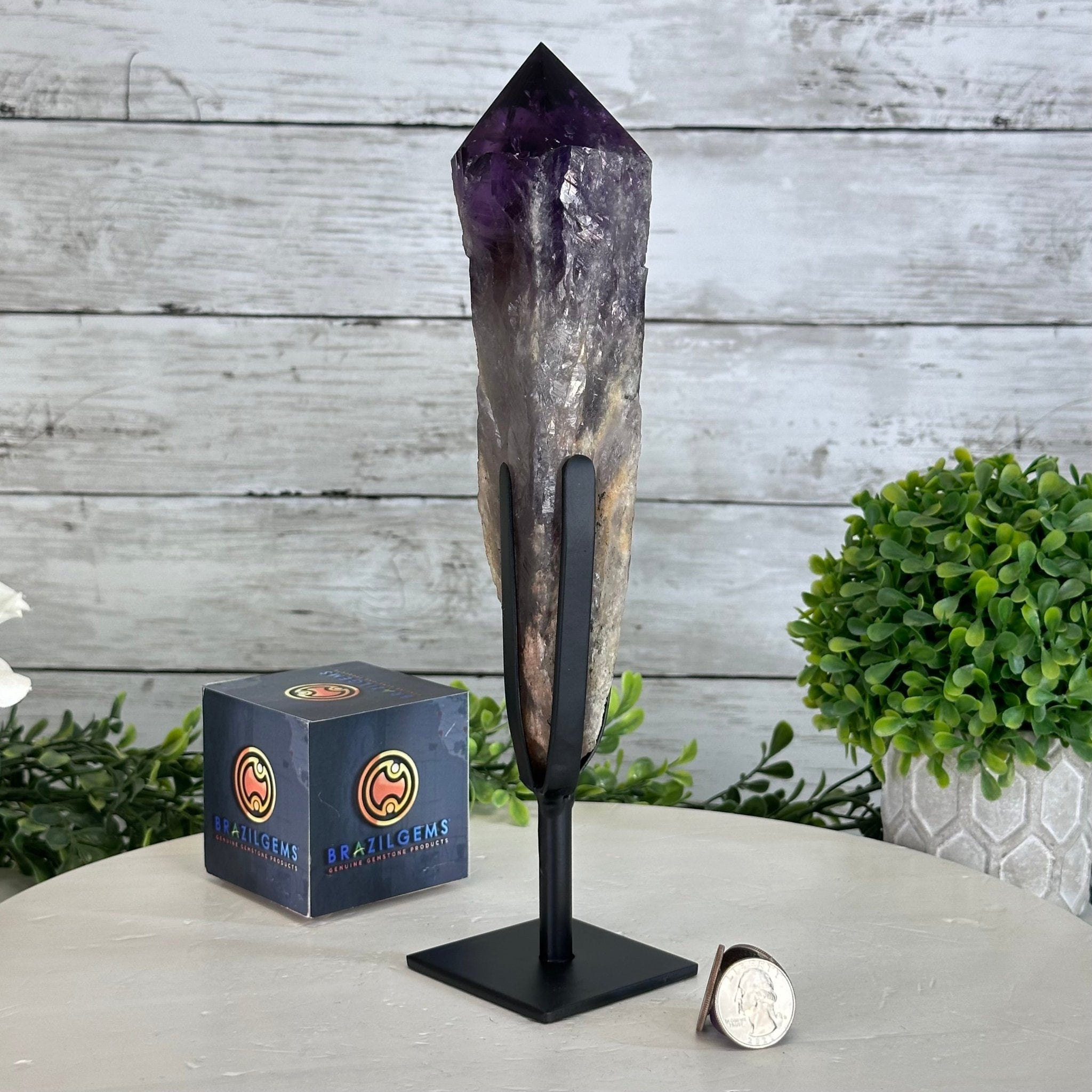 Super Quality Amethyst Wand on a Metal Stand, 2 lbs & 10.7" Tall #3123AM-008 - Brazil GemsBrazil GemsSuper Quality Amethyst Wand on a Metal Stand, 2 lbs & 10.7" Tall #3123AM-008Clusters on Fixed Bases3123AM-008