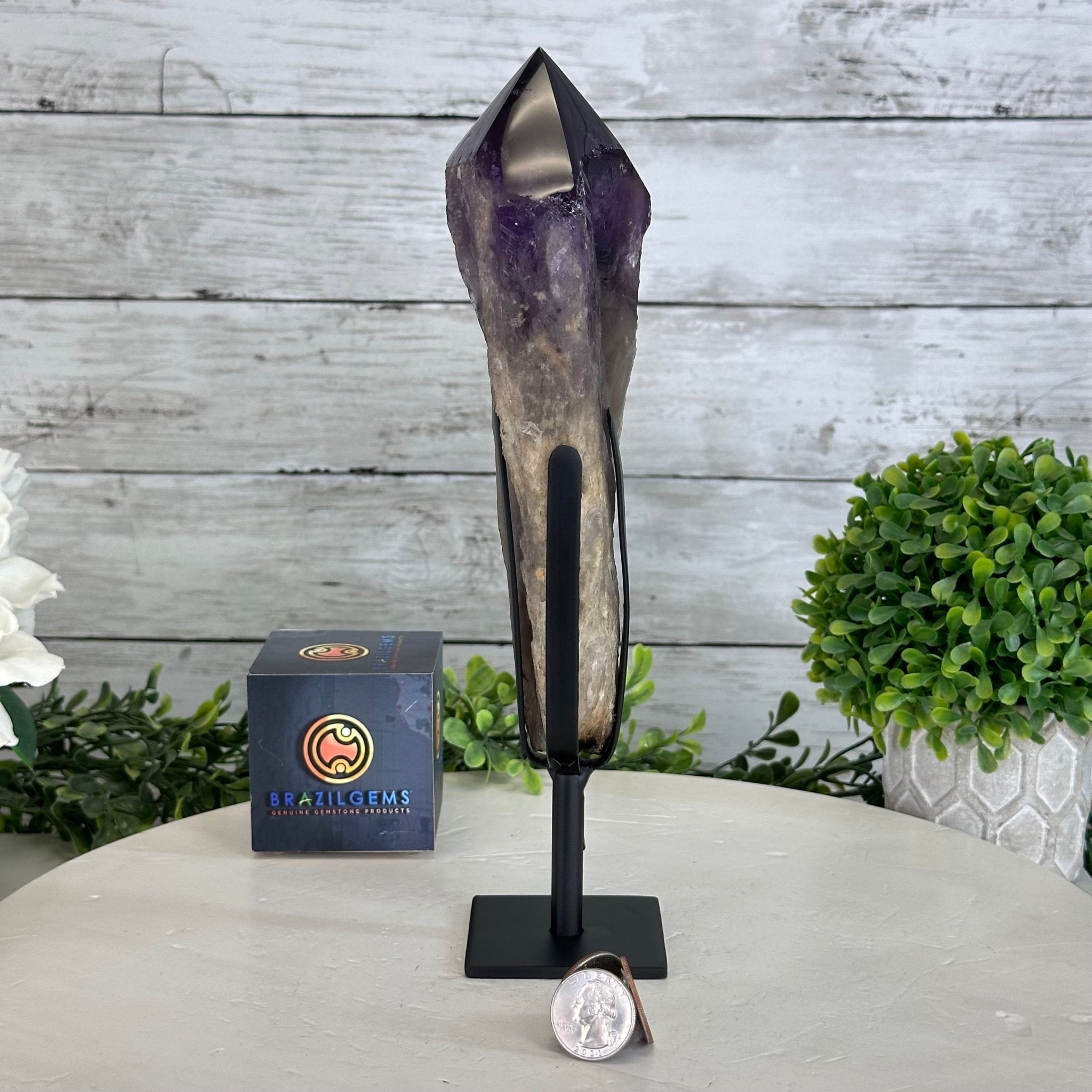 Super Quality Amethyst Wand on a Metal Stand, 2.1 lbs & 10.6" Tall #3123AM-010 - Brazil GemsBrazil GemsSuper Quality Amethyst Wand on a Metal Stand, 2.1 lbs & 10.6" Tall #3123AM-010Clusters on Fixed Bases3123AM-010