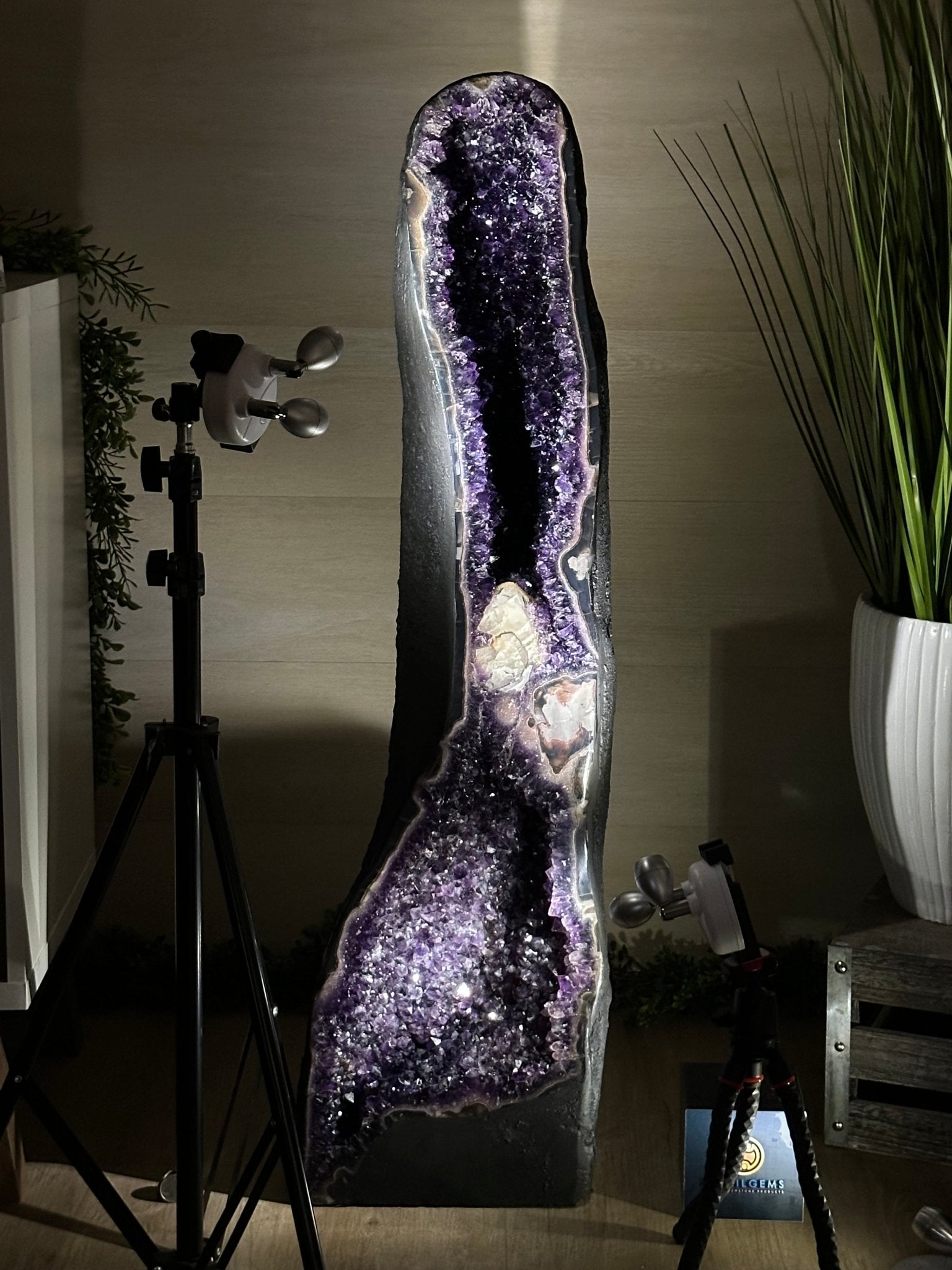Super Quality Brazilian Amethyst Cathedral, 101.4 lbs & 3 Feet 2 Inches Tall #5601 - 1487 - Brazil GemsBrazil GemsSuper Quality Brazilian Amethyst Cathedral, 101.4 lbs & 3 Feet 2 Inches Tall #5601 - 1487Cathedrals5601 - 1487