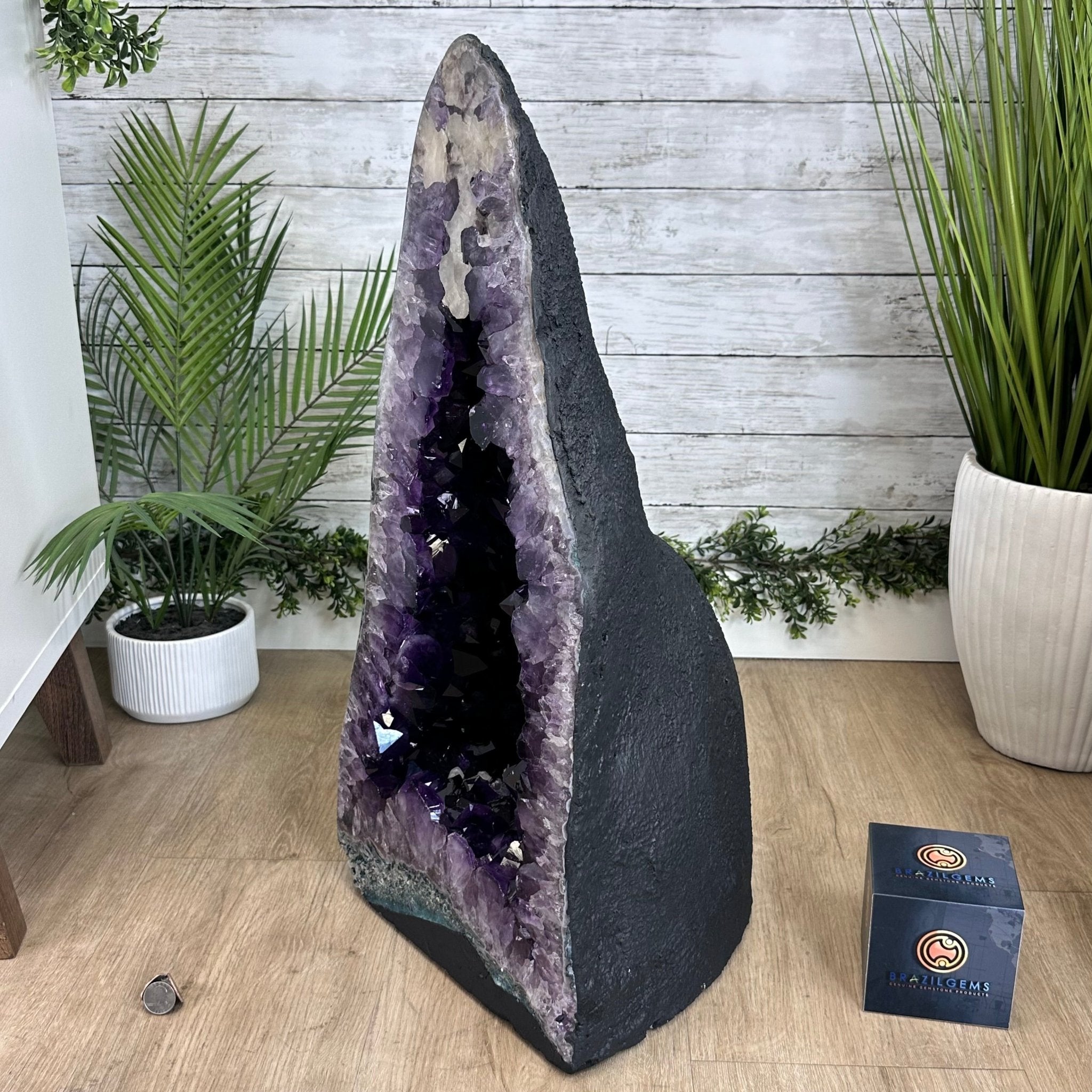 Super Quality Brazilian Amethyst Cathedral, 119.2 lbs & 26.1" Tall #5601 - 1329 - Brazil GemsBrazil GemsSuper Quality Brazilian Amethyst Cathedral, 119.2 lbs & 26.1" Tall #5601 - 1329Cathedrals5601 - 1329