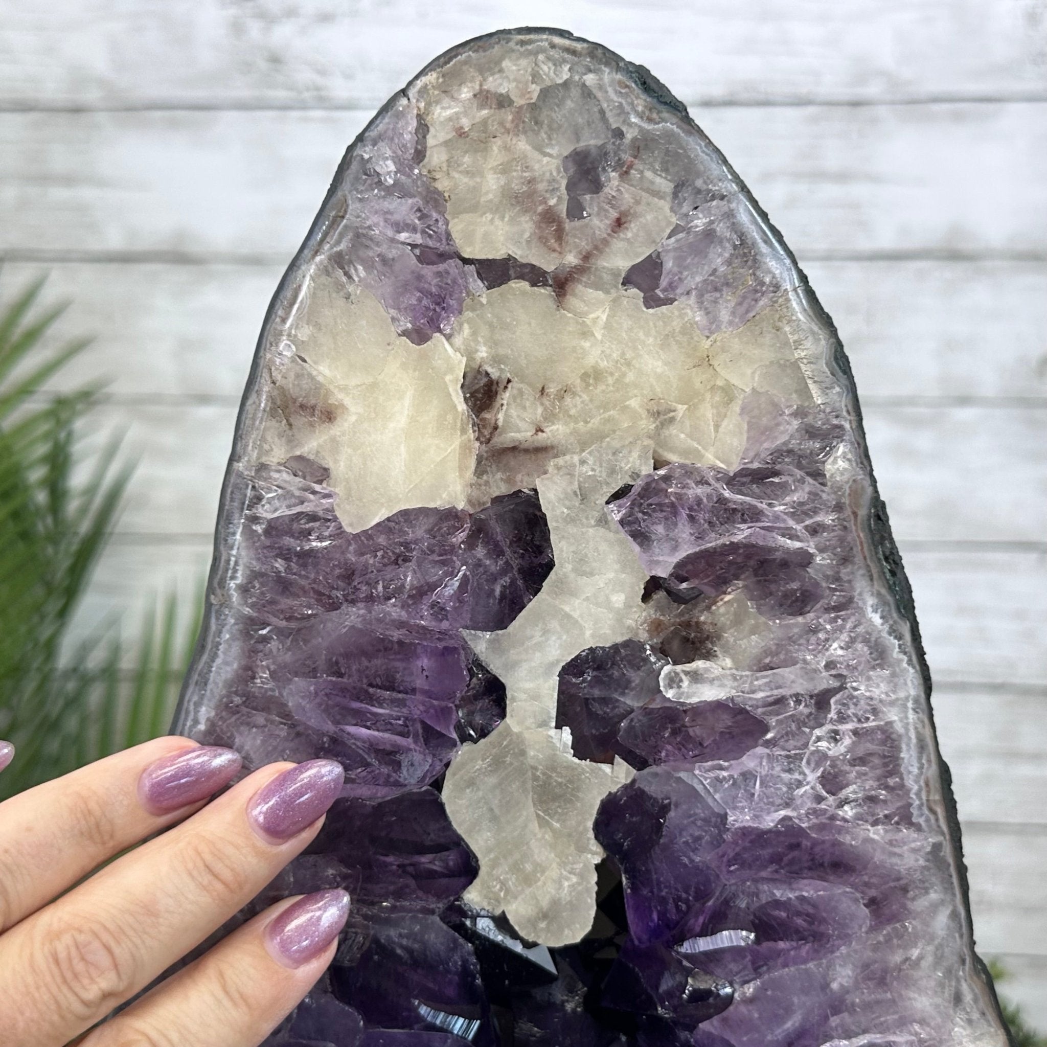 Super Quality Brazilian Amethyst Cathedral, 119.2 lbs & 26.1" Tall #5601 - 1329 - Brazil GemsBrazil GemsSuper Quality Brazilian Amethyst Cathedral, 119.2 lbs & 26.1" Tall #5601 - 1329Cathedrals5601 - 1329