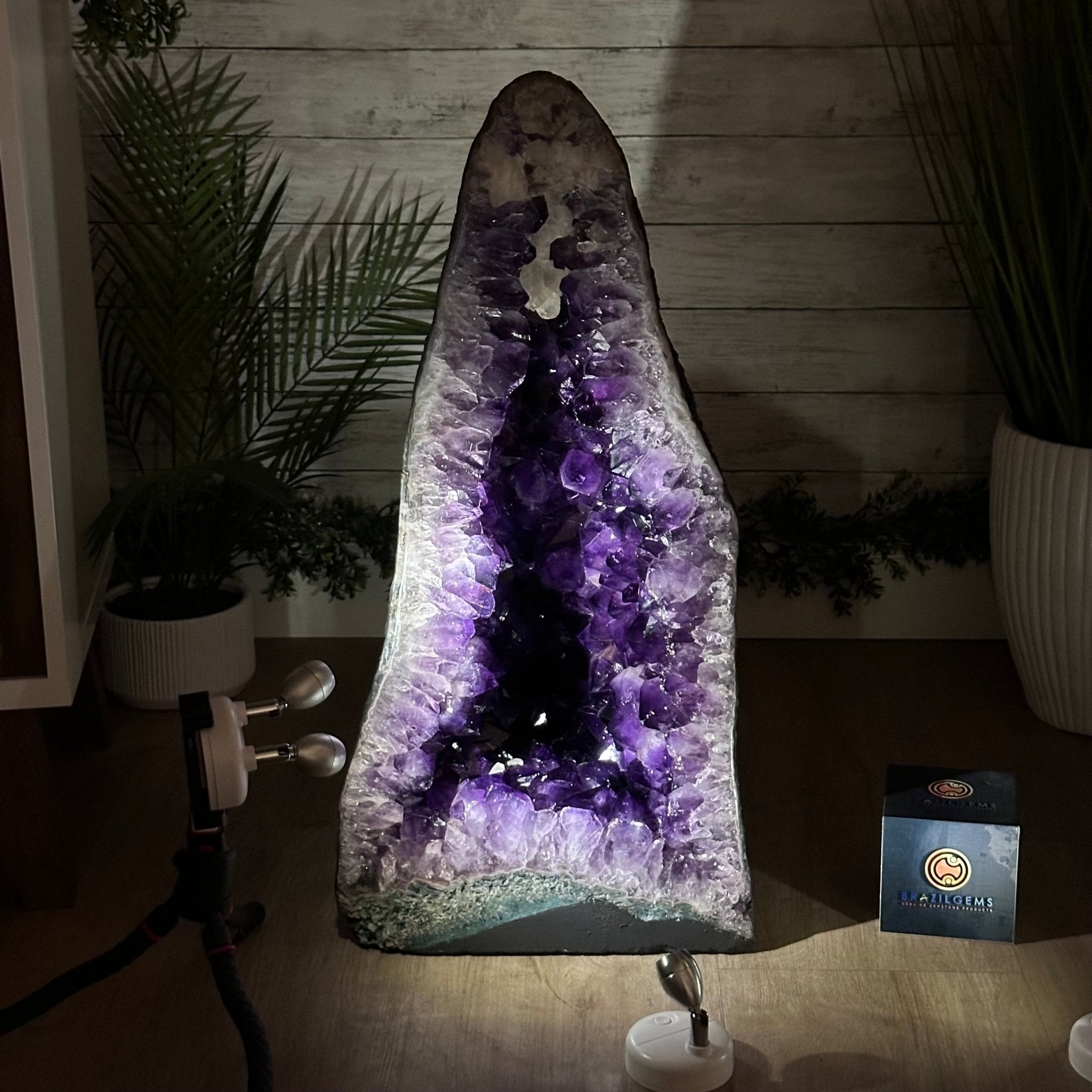 Super Quality Brazilian Amethyst Cathedral, 119.2 lbs & 26.1" Tall #5601 - 1329 - Brazil GemsBrazil GemsSuper Quality Brazilian Amethyst Cathedral, 119.2 lbs & 26.1" Tall #5601 - 1329Cathedrals5601 - 1329