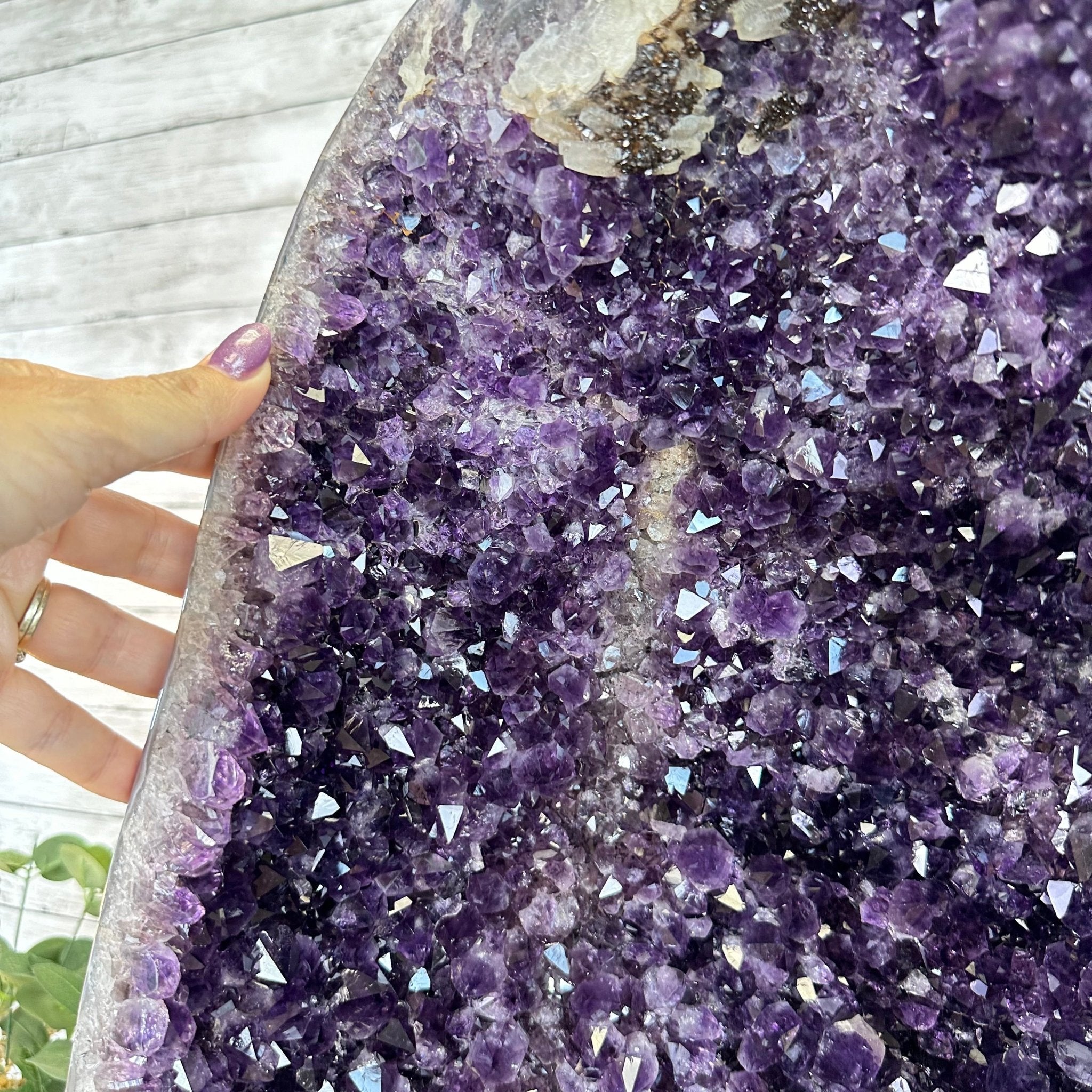 Super Quality Brazilian Amethyst Cathedral, 124.3 lbs & 27.2" Tall #5601 - 1263 - Brazil GemsBrazil GemsSuper Quality Brazilian Amethyst Cathedral, 124.3 lbs & 27.2" Tall #5601 - 1263Cathedrals5601 - 1263