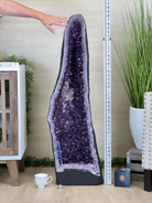 Super Quality Brazilian Amethyst Cathedral, 154.4 lbs & 3 Feet 8.5 Inches Tall #5601 - 1481 - Brazil GemsBrazil GemsSuper Quality Brazilian Amethyst Cathedral, 154.4 lbs & 3 Feet 8.5 Inches Tall #5601 - 1481Cathedrals5601 - 1481