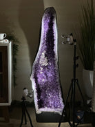 Super Quality Brazilian Amethyst Cathedral, 154.4 lbs & 3 Feet 8.5 Inches Tall #5601 - 1481 - Brazil GemsBrazil GemsSuper Quality Brazilian Amethyst Cathedral, 154.4 lbs & 3 Feet 8.5 Inches Tall #5601 - 1481Cathedrals5601 - 1481