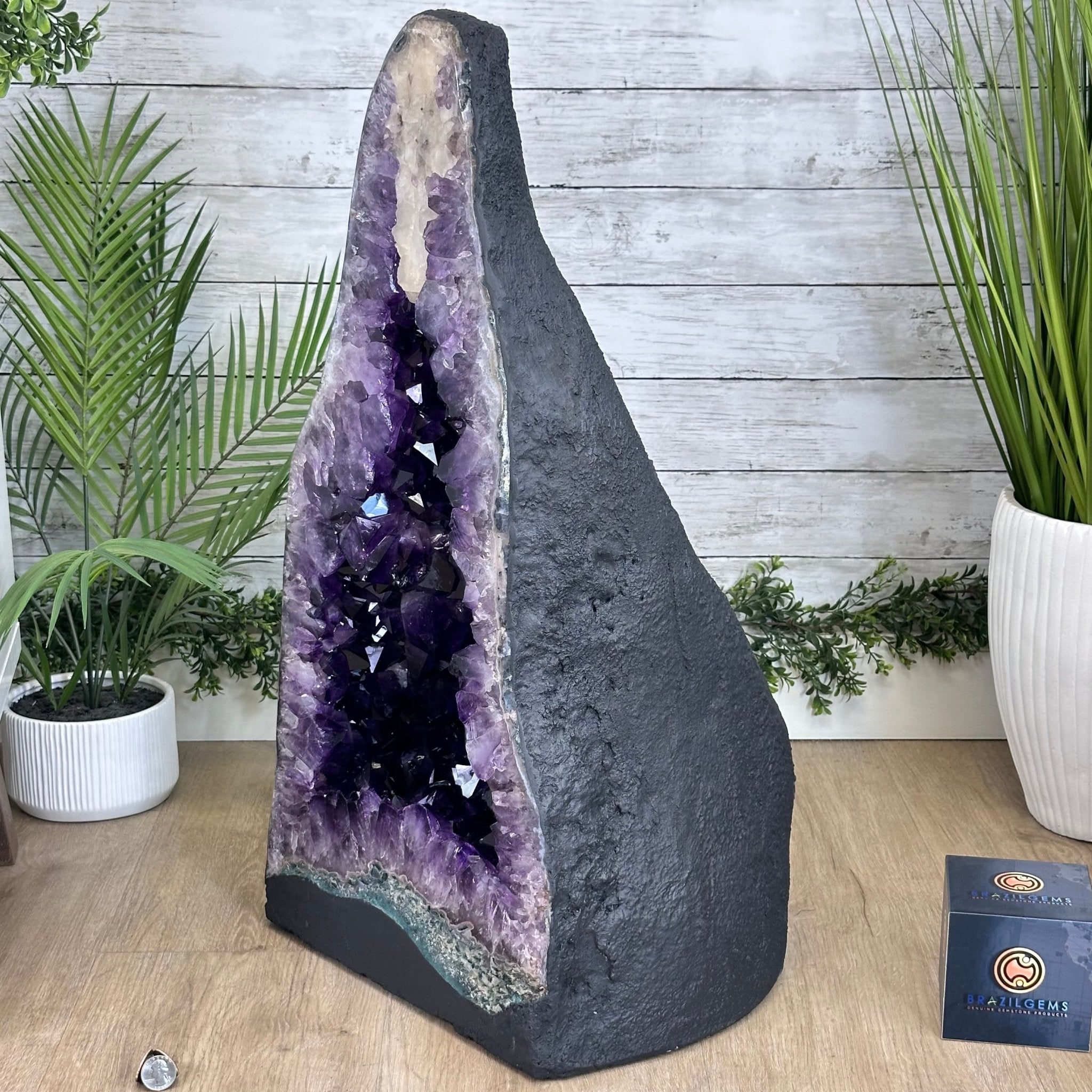 Super Quality Brazilian Amethyst Cathedral, 160.7 lbs & 28.1" Tall #5601 - 1330 - Brazil GemsBrazil GemsSuper Quality Brazilian Amethyst Cathedral, 160.7 lbs & 28.1" Tall #5601 - 1330Cathedrals5601 - 1330