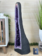 Super Quality Brazilian Amethyst Cathedral, 161 lbs & 3 Feet 7.5 Inches Tall #5601 - 1482 - Brazil GemsBrazil GemsSuper Quality Brazilian Amethyst Cathedral, 161 lbs & 3 Feet 7.5 Inches Tall #5601 - 1482Cathedrals5601 - 1482