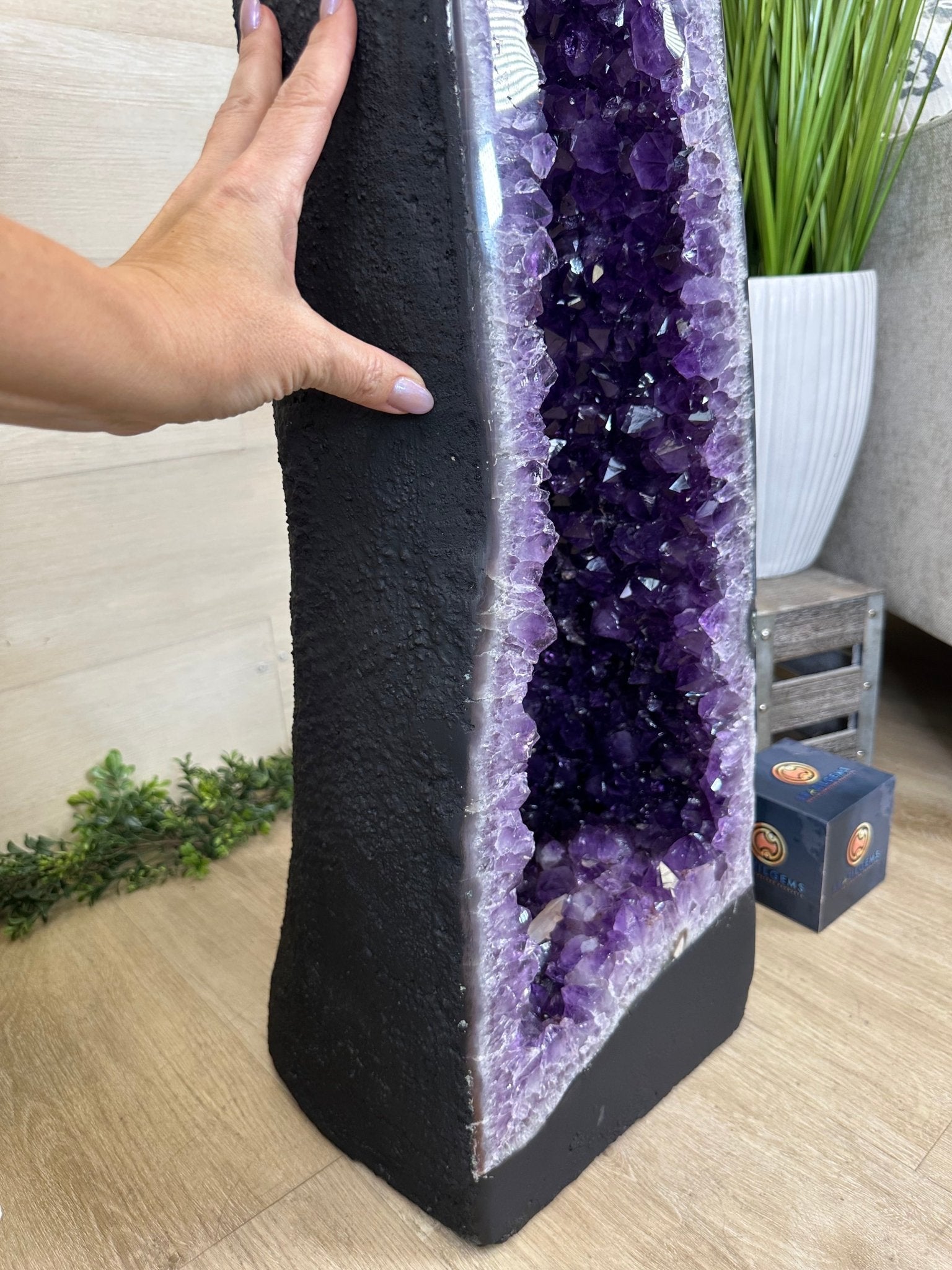Super Quality Brazilian Amethyst Cathedral, 161 lbs & 3 Feet 7.5 Inches Tall #5601 - 1482 - Brazil GemsBrazil GemsSuper Quality Brazilian Amethyst Cathedral, 161 lbs & 3 Feet 7.5 Inches Tall #5601 - 1482Cathedrals5601 - 1482