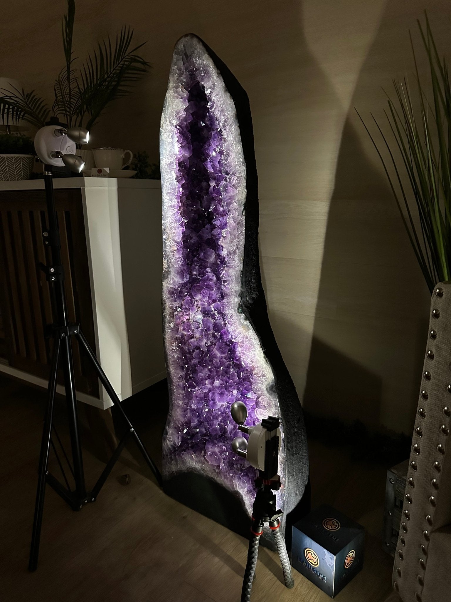 Super Quality Brazilian Amethyst Cathedral, 169.8 lbs & 3 Feet 4.7 Inches Tall #5601 - 1488 - Brazil GemsBrazil GemsSuper Quality Brazilian Amethyst Cathedral, 169.8 lbs & 3 Feet 4.7 Inches Tall #5601 - 1488Cathedrals5601 - 1488