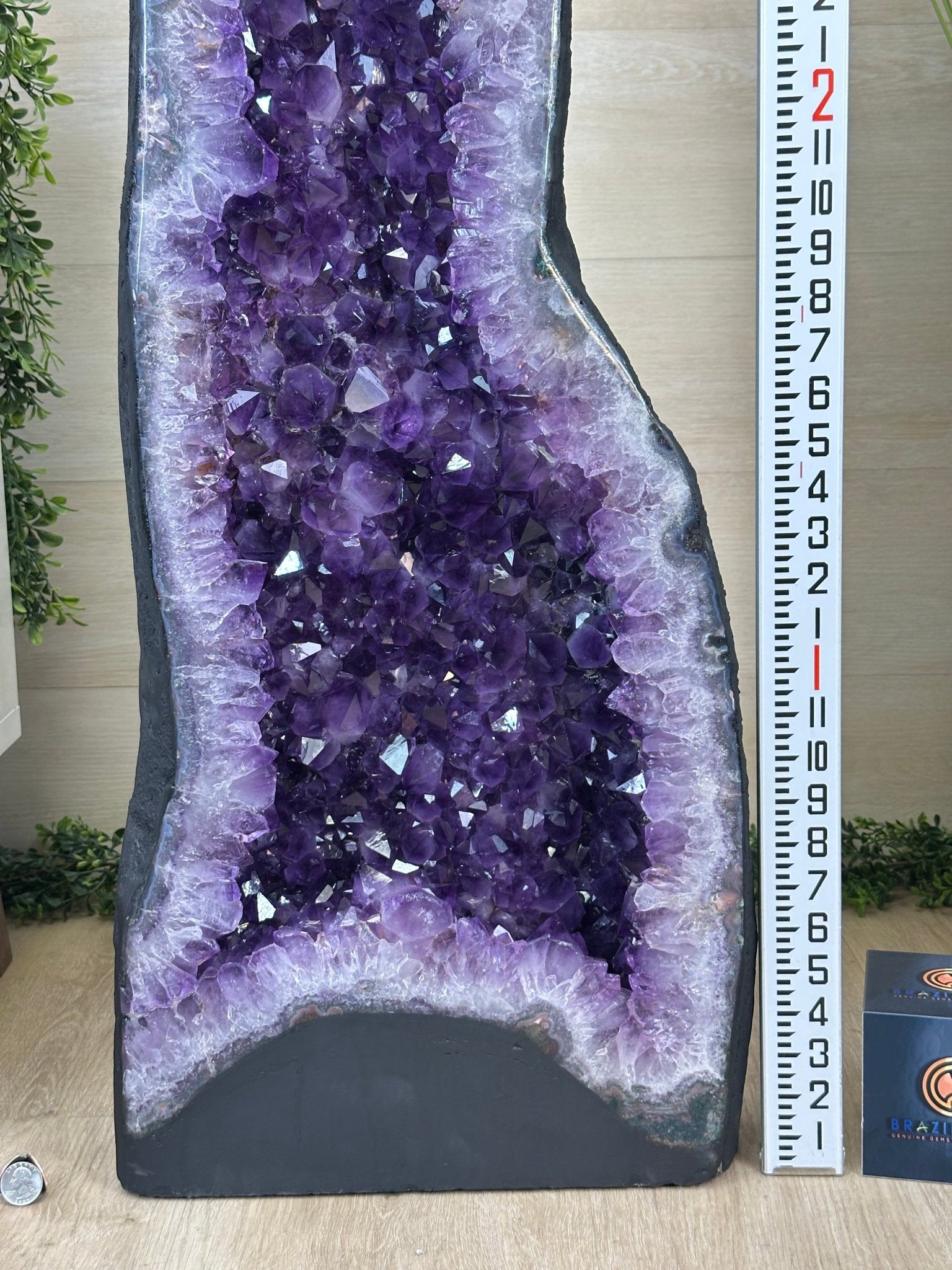 Super Quality Brazilian Amethyst Cathedral, 169.8 lbs & 3 Feet 4.7 Inches Tall #5601 - 1488 - Brazil GemsBrazil GemsSuper Quality Brazilian Amethyst Cathedral, 169.8 lbs & 3 Feet 4.7 Inches Tall #5601 - 1488Cathedrals5601 - 1488