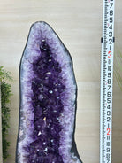 Super Quality Brazilian Amethyst Cathedral, 169.8 lbs & 3 Feet 4.7 Inches Tall #5601 - 1488 - Brazil GemsBrazil GemsSuper Quality Brazilian Amethyst Cathedral, 169.8 lbs & 3 Feet 4.7 Inches Tall #5601 - 1488Cathedrals5601 - 1488