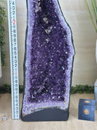 Super Quality Brazilian Amethyst Cathedral, 176.4 lbs & 3 Feet 9.3 Inches Tall #5601 - 1484 - Brazil GemsBrazil GemsSuper Quality Brazilian Amethyst Cathedral, 176.4 lbs & 3 Feet 9.3 Inches Tall #5601 - 1484Cathedrals5601 - 1484