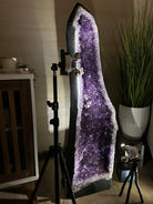 Super Quality Brazilian Amethyst Cathedral, 176.4 lbs & 3 Feet 9.3 Inches Tall #5601 - 1484 - Brazil GemsBrazil GemsSuper Quality Brazilian Amethyst Cathedral, 176.4 lbs & 3 Feet 9.3 Inches Tall #5601 - 1484Cathedrals5601 - 1484