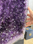 Super Quality Brazilian Amethyst Cathedral, 176.4 lbs & 3 Feet 9.3 Inches Tall #5601 - 1484 - Brazil GemsBrazil GemsSuper Quality Brazilian Amethyst Cathedral, 176.4 lbs & 3 Feet 9.3 Inches Tall #5601 - 1484Cathedrals5601 - 1484