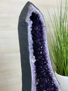 Super Quality Brazilian Amethyst Cathedral, 176.4 lbs & 3 Feet 9.3 Inches Tall #5601 - 1484 - Brazil GemsBrazil GemsSuper Quality Brazilian Amethyst Cathedral, 176.4 lbs & 3 Feet 9.3 Inches Tall #5601 - 1484Cathedrals5601 - 1484