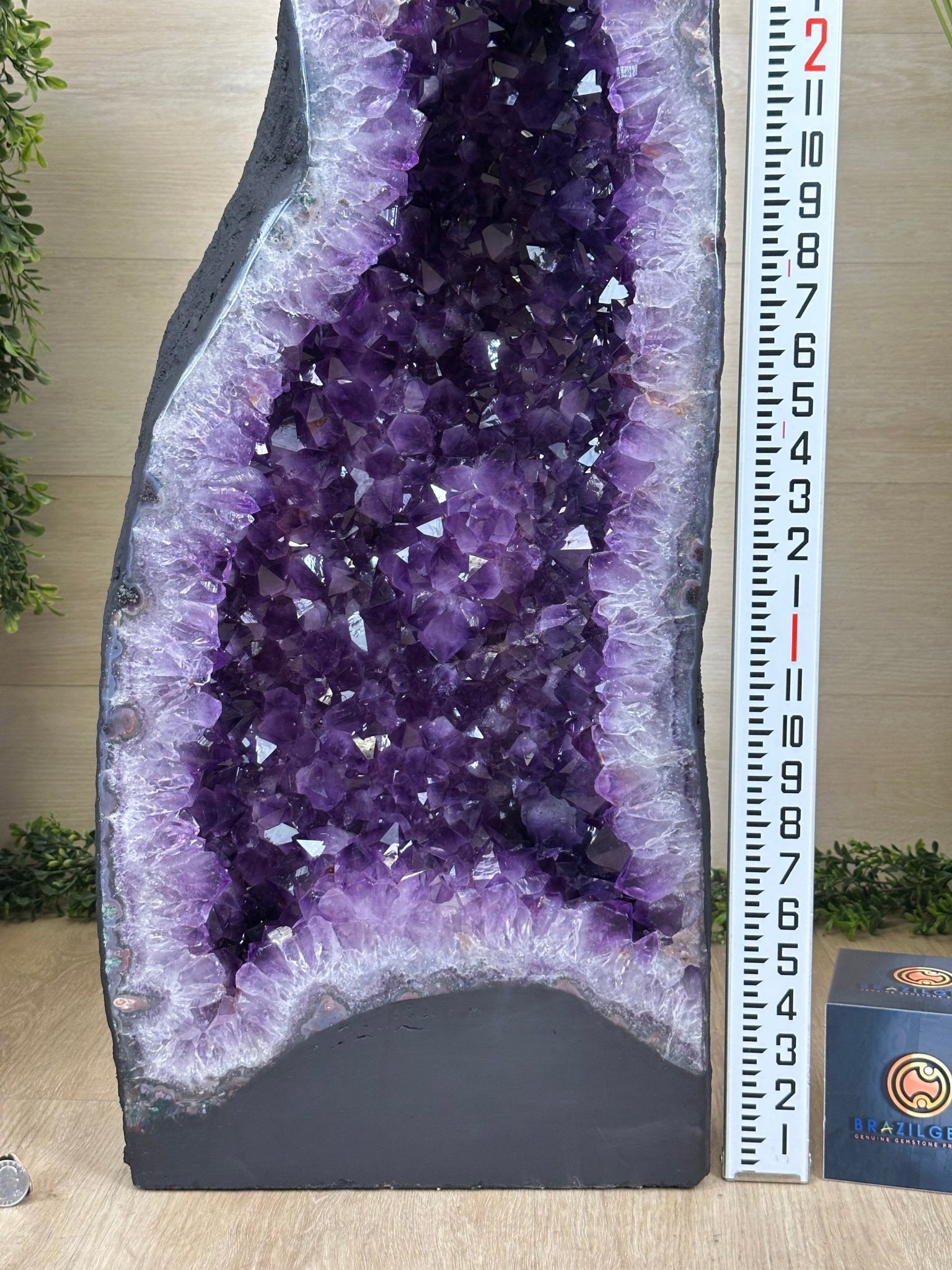 Super Quality Brazilian Amethyst Cathedral, 180.8 lbs & 3 Feet 5.1 Inches Tall #5601 - 1489 - Brazil GemsBrazil GemsSuper Quality Brazilian Amethyst Cathedral, 180.8 lbs & 3 Feet 5.1 Inches Tall #5601 - 1489Cathedrals5601 - 1489