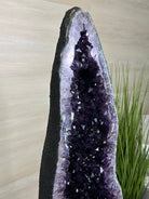 Super Quality Brazilian Amethyst Cathedral, 363.8 lbs & 4 Feet 10 Inches Tall #5601 - 1485 - Brazil GemsBrazil GemsSuper Quality Brazilian Amethyst Cathedral, 363.8 lbs & 4 Feet 10 Inches Tall #5601 - 1485Cathedrals5601 - 1485