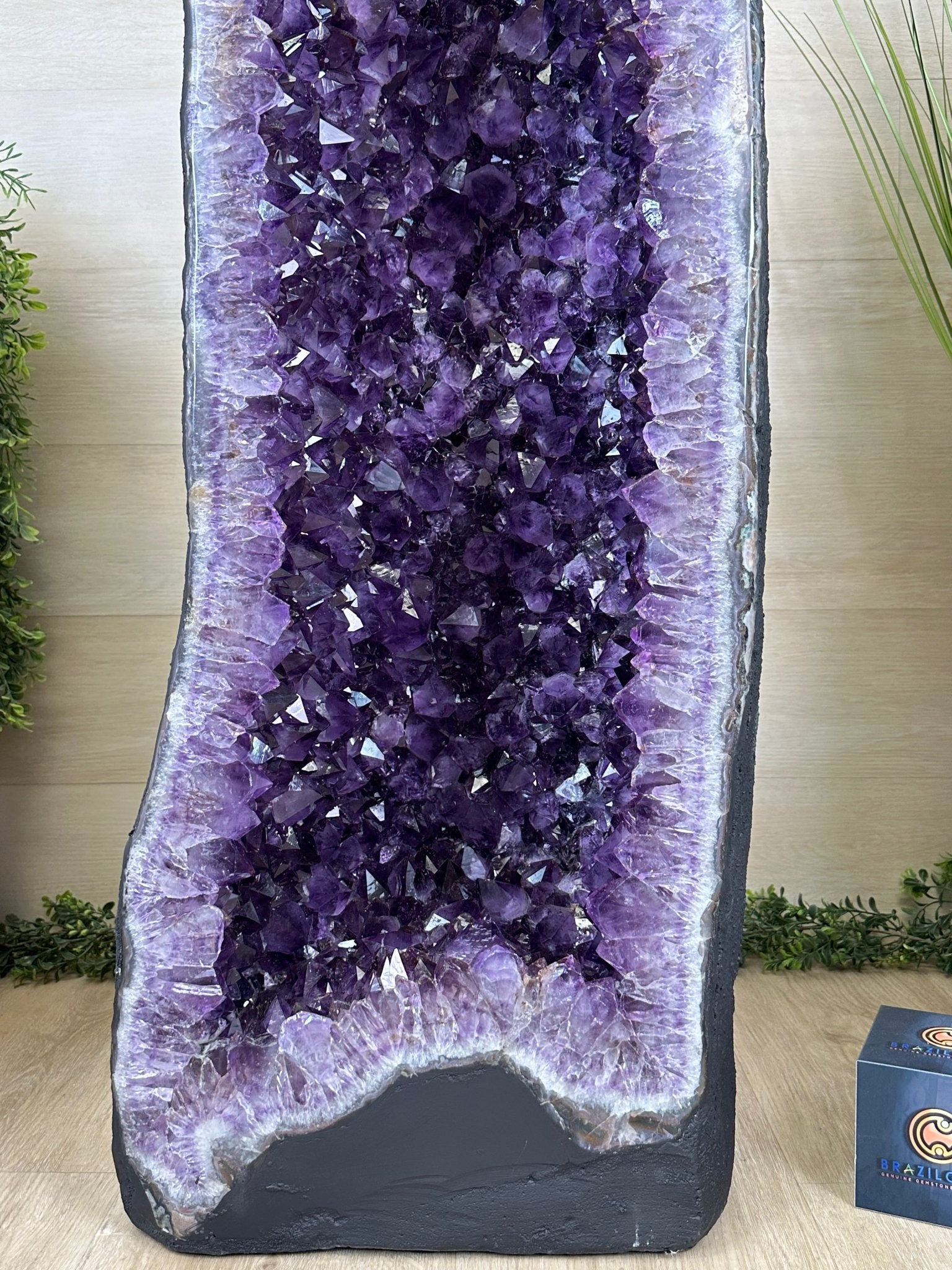 Super Quality Brazilian Amethyst Cathedral, 377.1 lbs & 4 Feet 9 Inches Tall #5601 - 1486 - Brazil GemsBrazil GemsSuper Quality Brazilian Amethyst Cathedral, 377.1 lbs & 4 Feet 9 Inches Tall #5601 - 1486Cathedrals5601 - 1486