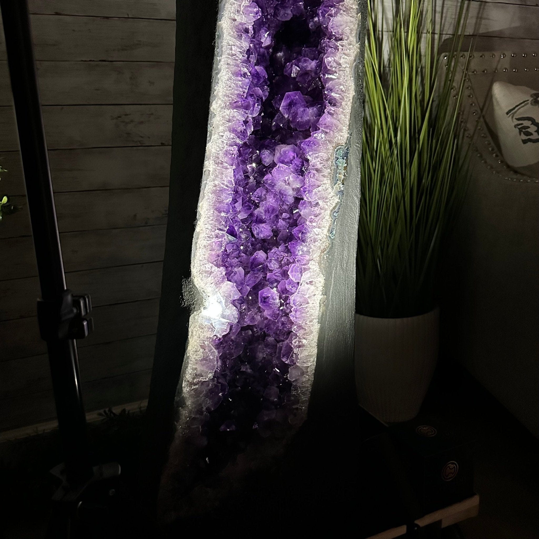 Super Quality Brazilian Amethyst Cathedral, 385 lbs & 72" Tall #5601-1340 - Brazil GemsBrazil GemsSuper Quality Brazilian Amethyst Cathedral, 385 lbs & 72" Tall #5601-1340Cathedrals5601-1340