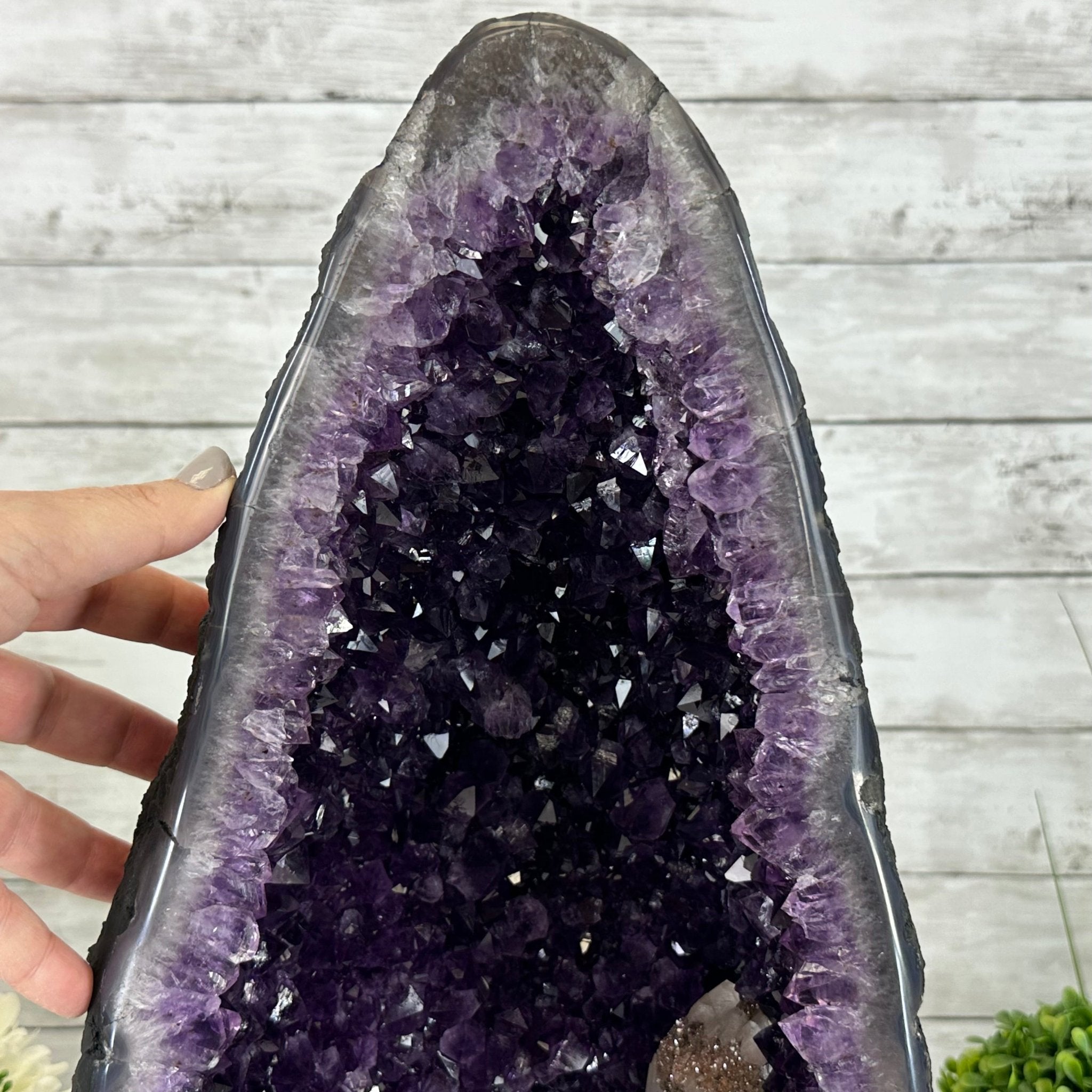 Super Quality Brazilian Amethyst Cathedral, 44 lbs & 18.6" Tall #5601-1311 - Brazil GemsBrazil GemsSuper Quality Brazilian Amethyst Cathedral, 44 lbs & 18.6" Tall #5601-1311Cathedrals5601-1311