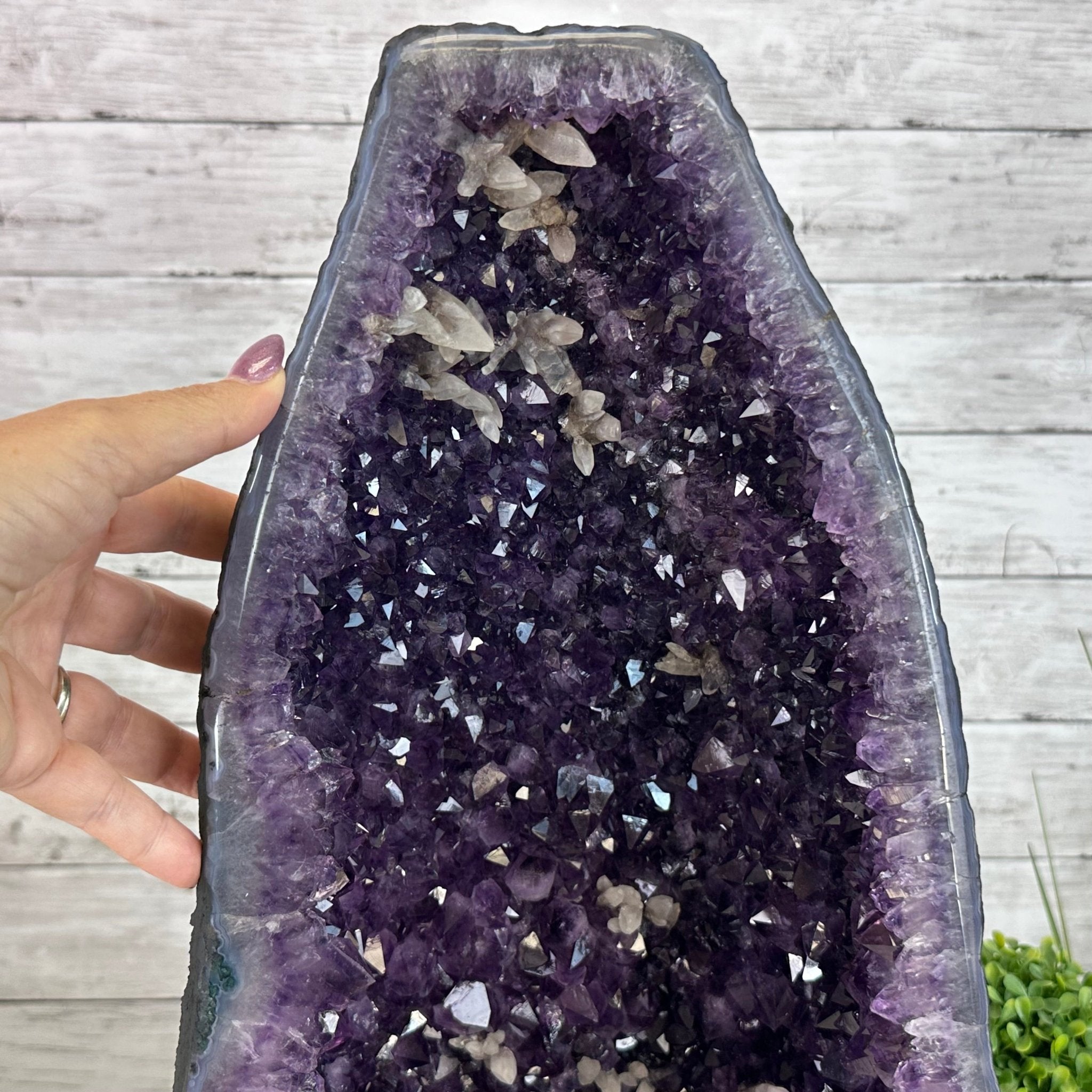 Super Quality Brazilian Amethyst Cathedral, 44.7 lbs & 18.9" Tall #5601 - 1313 - Brazil GemsBrazil GemsSuper Quality Brazilian Amethyst Cathedral, 44.7 lbs & 18.9" Tall #5601 - 1313Cathedrals5601 - 1313