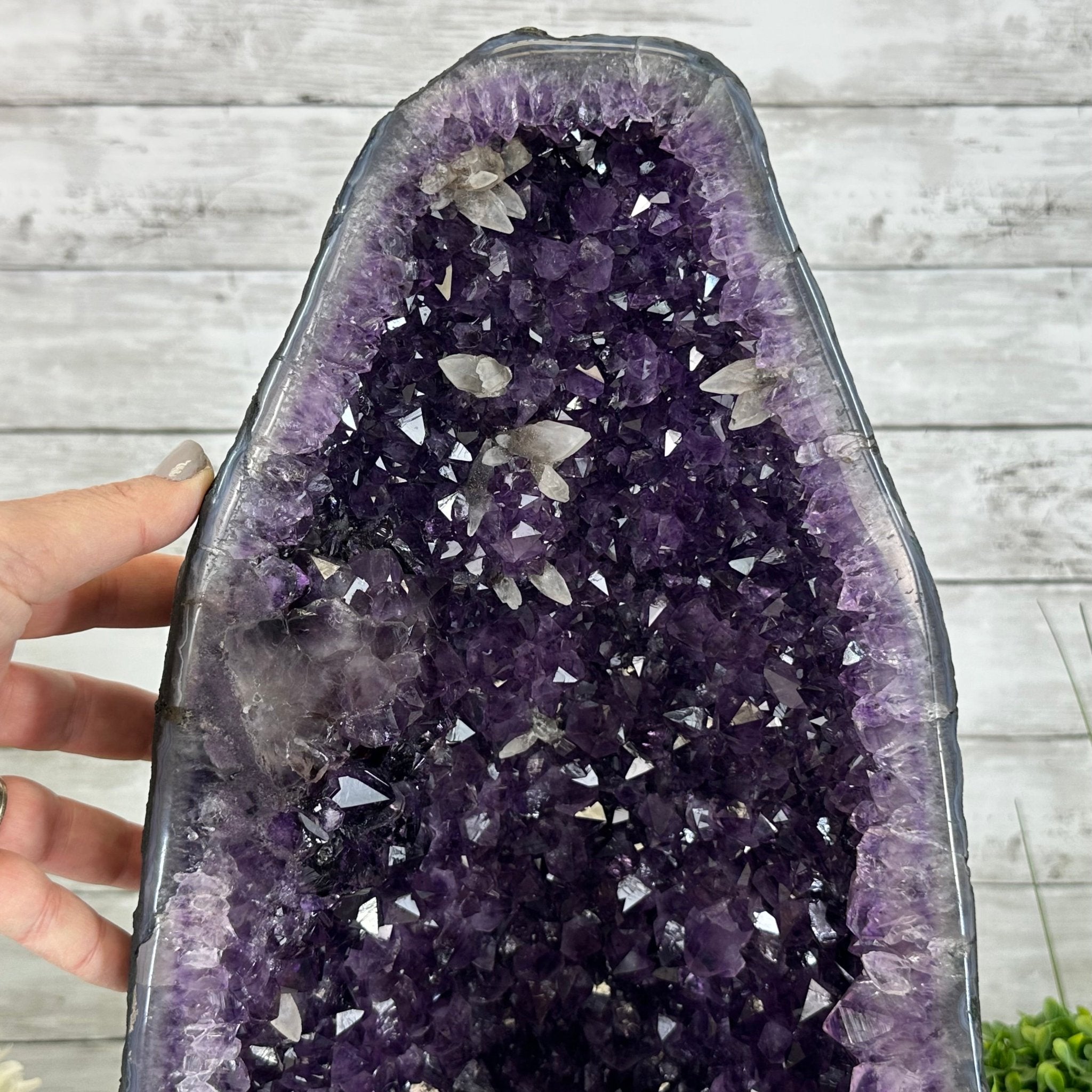 Super Quality Brazilian Amethyst Cathedral, 47.4 lbs & 18.7" Tall #5601-1316 - Brazil GemsBrazil GemsSuper Quality Brazilian Amethyst Cathedral, 47.4 lbs & 18.7" Tall #5601-1316Cathedrals5601-1316