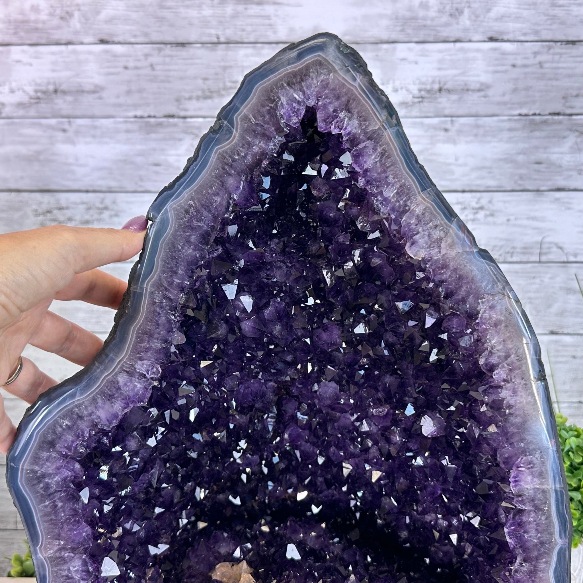 Super Quality Brazilian Amethyst Cathedral, 61.7 lbs & 16.7" Tall #5601 - 1322 - Brazil GemsBrazil GemsSuper Quality Brazilian Amethyst Cathedral, 61.7 lbs & 16.7" Tall #5601 - 1322Cathedrals5601 - 1322