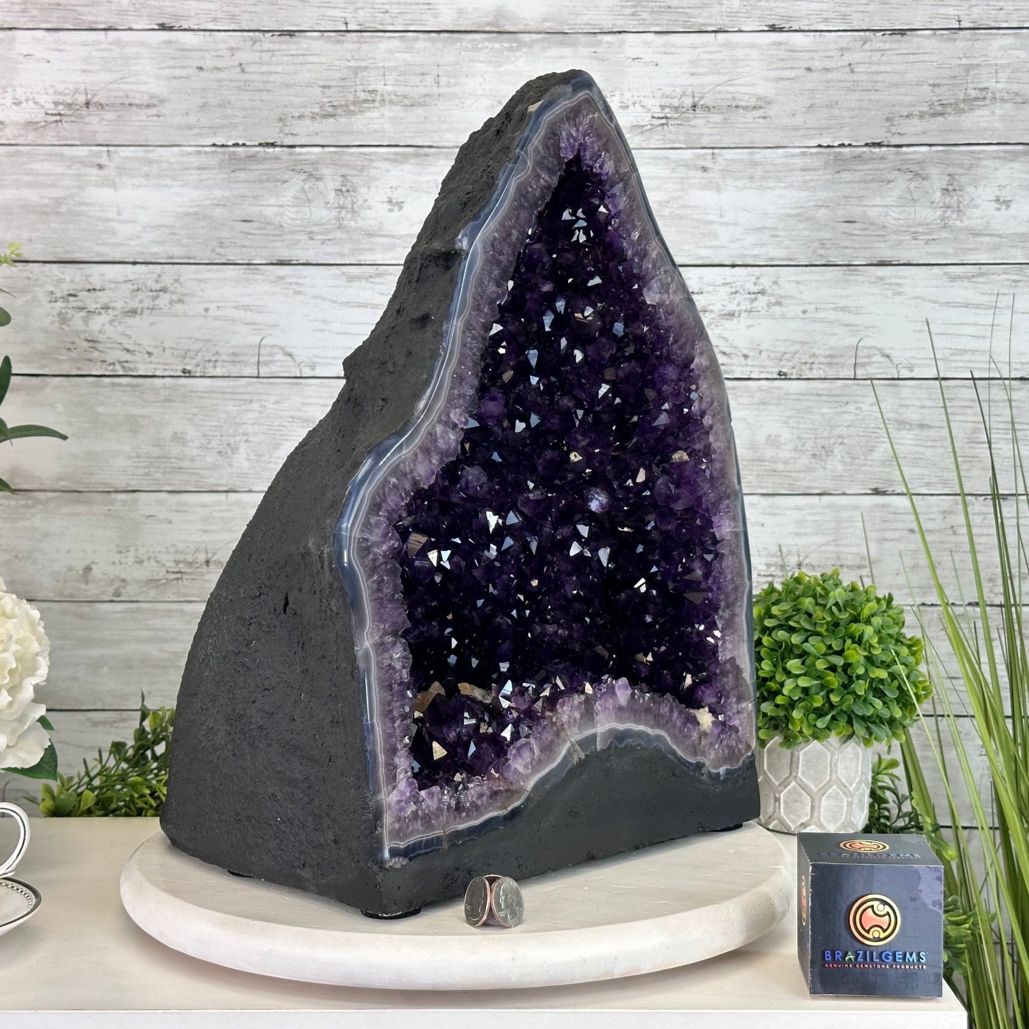 Super Quality Brazilian Amethyst Cathedral, 61.7 lbs & 16.7" Tall #5601 - 1322 - Brazil GemsBrazil GemsSuper Quality Brazilian Amethyst Cathedral, 61.7 lbs & 16.7" Tall #5601 - 1322Cathedrals5601 - 1322