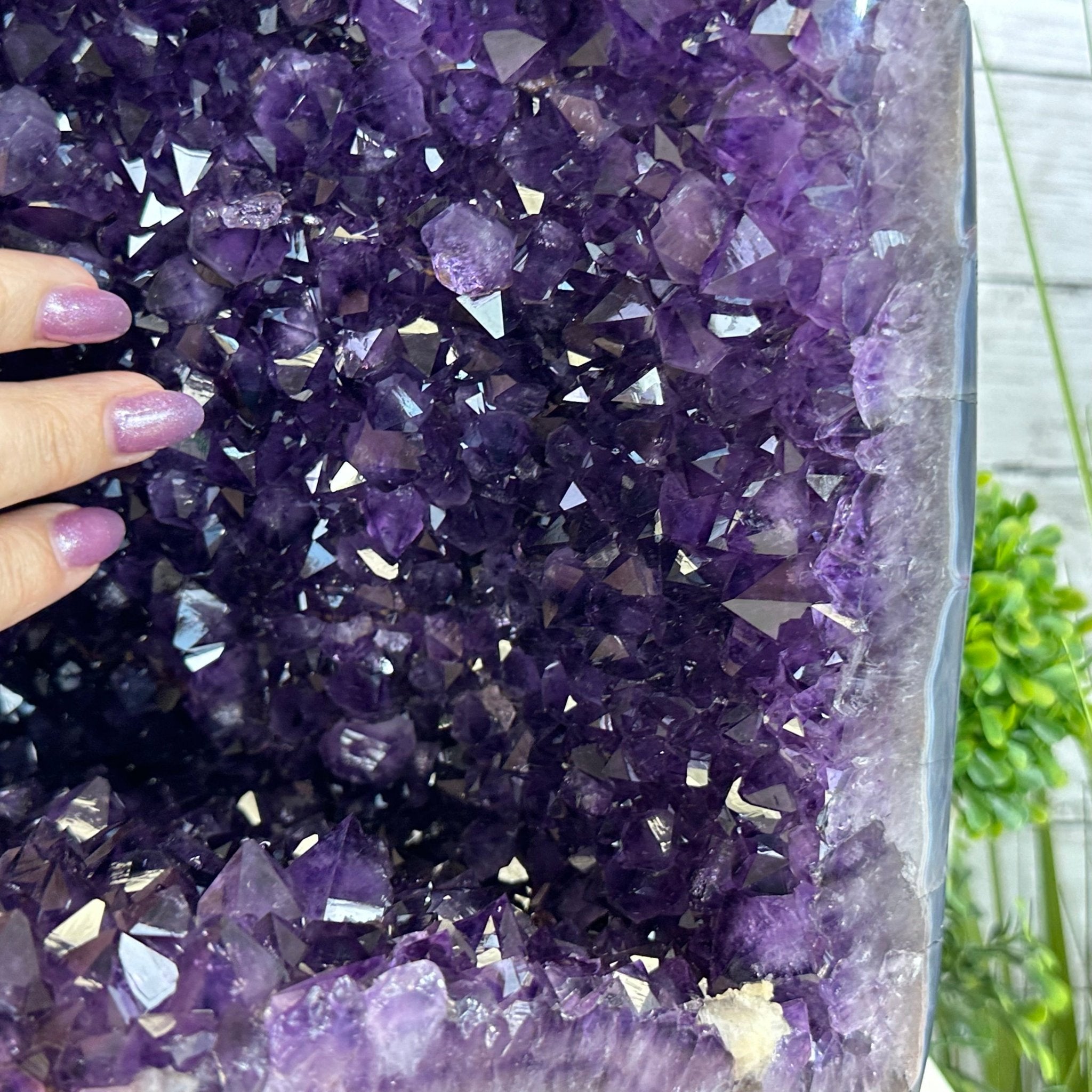 Super Quality Brazilian Amethyst Cathedral, 61.7 lbs & 16.7" Tall #5601 - 1322 - Brazil GemsBrazil GemsSuper Quality Brazilian Amethyst Cathedral, 61.7 lbs & 16.7" Tall #5601 - 1322Cathedrals5601 - 1322