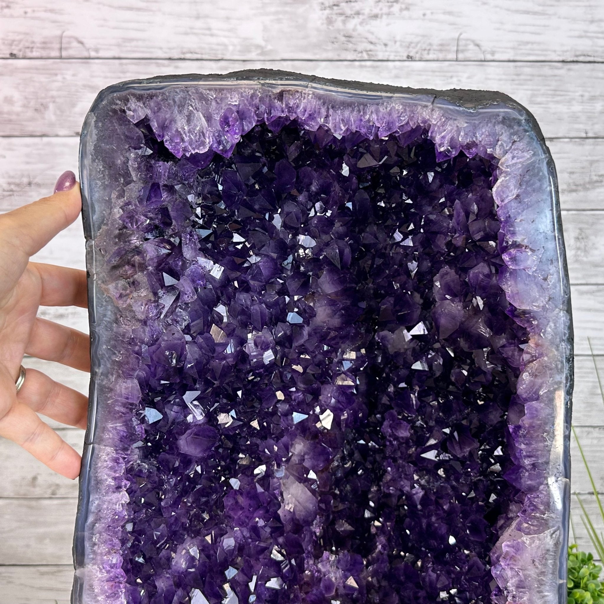 Super Quality Brazilian Amethyst Cathedral, 76.6 lbs & 20.2" Tall #5601 - 1327 - Brazil GemsBrazil GemsSuper Quality Brazilian Amethyst Cathedral, 76.6 lbs & 20.2" Tall #5601 - 1327Cathedrals5601 - 1327