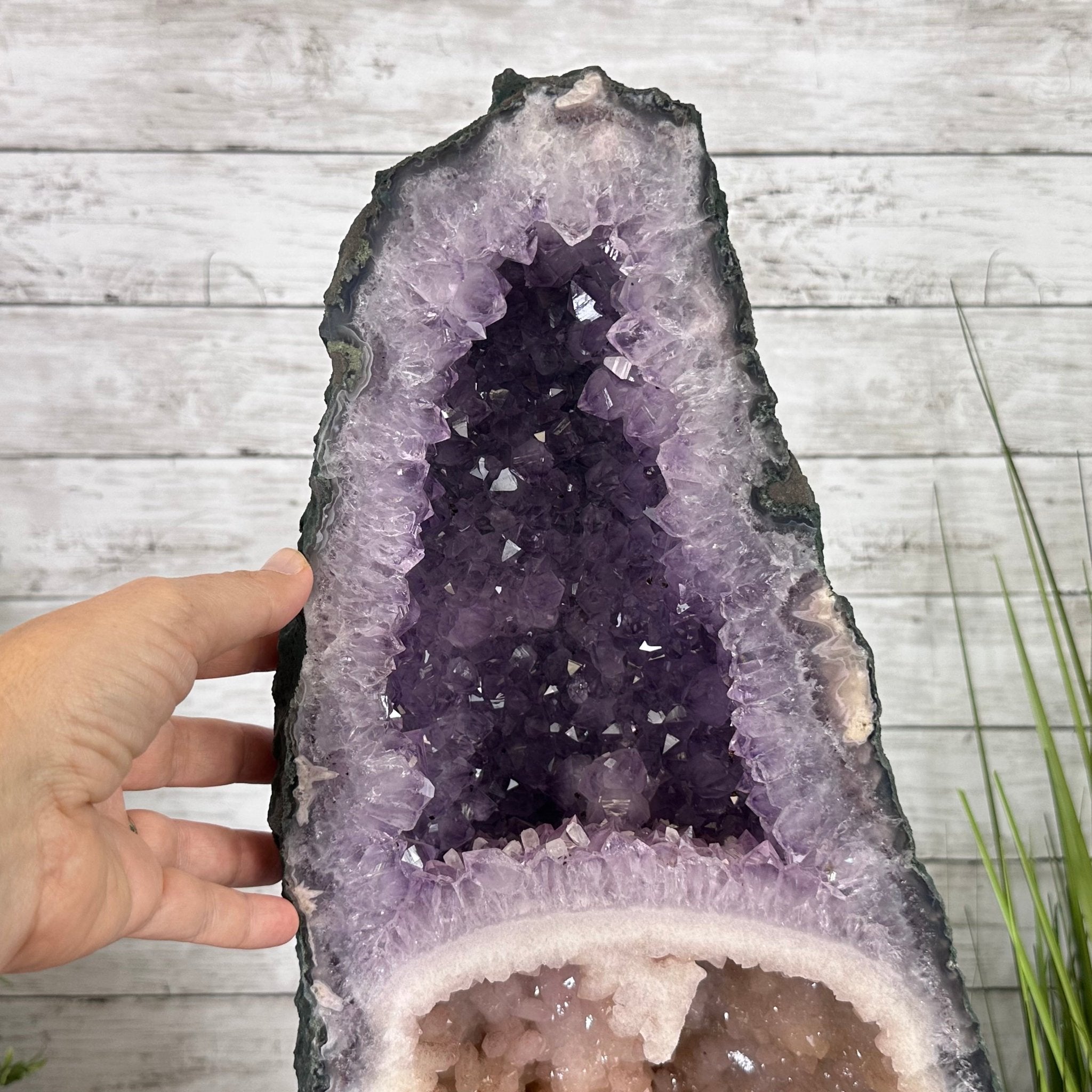 Super Quality Brazilian Amethyst Cathedral, 80.3 lbs & 28.25" Tall, Model #5601-1264 by Brazil Gems - Brazil GemsBrazil GemsSuper Quality Brazilian Amethyst Cathedral, 80.3 lbs & 28.25" Tall, Model #5601-1264 by Brazil GemsCathedrals5601-1264