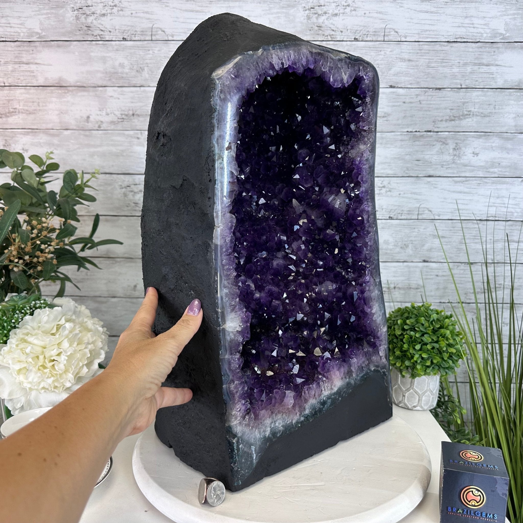 Super Quality Brazilian Amethyst Cathedral, 81.9 lbs & 21.7" Tall #5601 - 1328 - Brazil GemsBrazil GemsSuper Quality Brazilian Amethyst Cathedral, 81.9 lbs & 21.7" Tall #5601 - 1328Cathedrals5601 - 1328