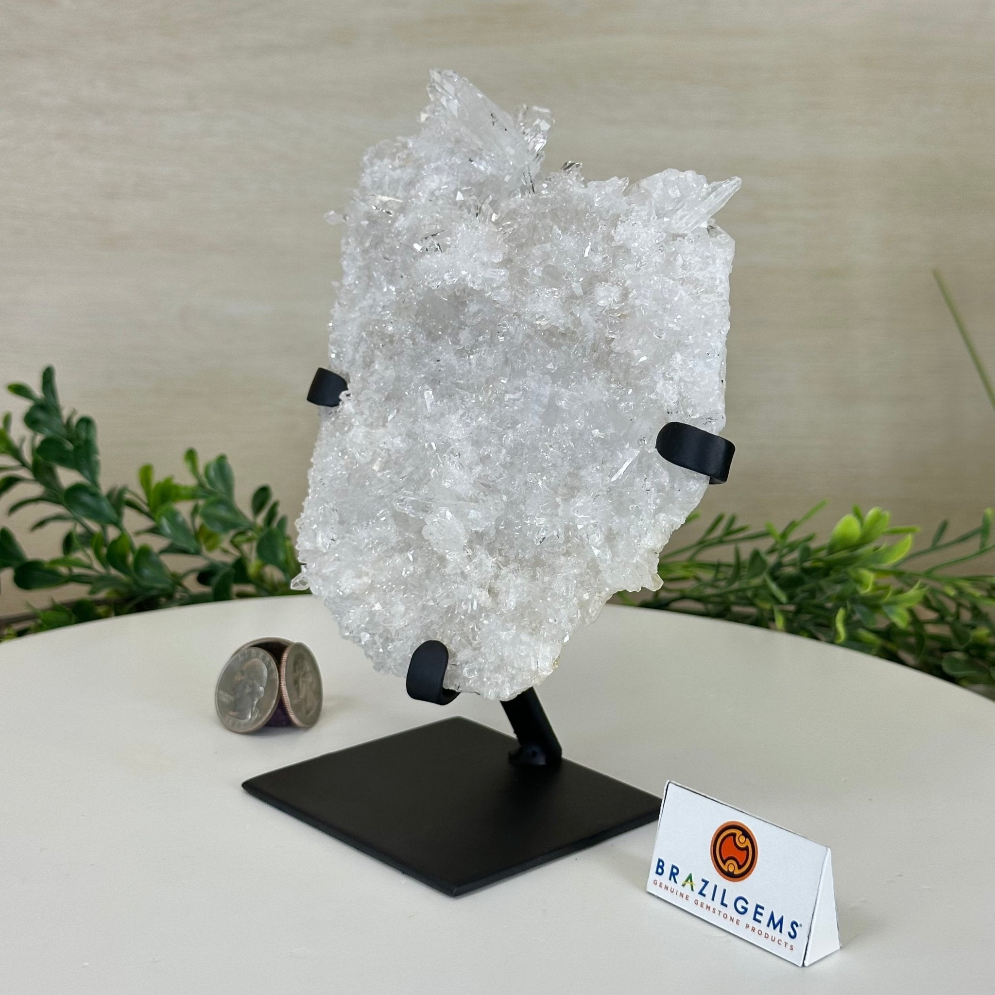 Super Quality Clear Quartz Cluster, Metal Stand, 2.3 lbs & 7.2" Tall5495 - 0079 - Brazil GemsBrazil GemsSuper Quality Clear Quartz Cluster, Metal Stand, 2.3 lbs & 7.2" Tall5495 - 0079Clusters on Fixed Bases5495 - 0079