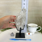 Super Quality Clear Quartz Cluster, Metal Stand, 2.4 lbs & 8.8" Tall 5495 - 0080 - Brazil GemsBrazil GemsSuper Quality Clear Quartz Cluster, Metal Stand, 2.4 lbs & 8.8" Tall 5495 - 0080Clusters on Fixed Bases5495 - 0080