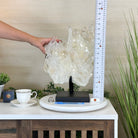 Super Quality Clear Quartz Cluster, Metal Stand, 24.3 lbs & 16.6" Tall 5495 - 0101 - Brazil GemsBrazil GemsSuper Quality Clear Quartz Cluster, Metal Stand, 24.3 lbs & 16.6" Tall 5495 - 0101Clusters on Fixed Bases5495 - 0101