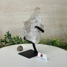 Super Quality Clear Quartz Cluster, Metal Stand, 2.8 lbs & 8.5" Tall 5495 - 0081 - Brazil GemsBrazil GemsSuper Quality Clear Quartz Cluster, Metal Stand, 2.8 lbs & 8.5" Tall 5495 - 0081Clusters on Fixed Bases5495 - 0081