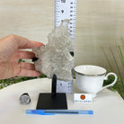 Super Quality Clear Quartz Cluster, Metal Stand, 2.8 lbs & 8.5" Tall 5495 - 0081 - Brazil GemsBrazil GemsSuper Quality Clear Quartz Cluster, Metal Stand, 2.8 lbs & 8.5" Tall 5495 - 0081Clusters on Fixed Bases5495 - 0081