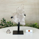Super Quality Clear Quartz Cluster, Metal Stand, 2.8 lbs & 8.5" Tall 5495 - 0081 - Brazil GemsBrazil GemsSuper Quality Clear Quartz Cluster, Metal Stand, 2.8 lbs & 8.5" Tall 5495 - 0081Clusters on Fixed Bases5495 - 0081