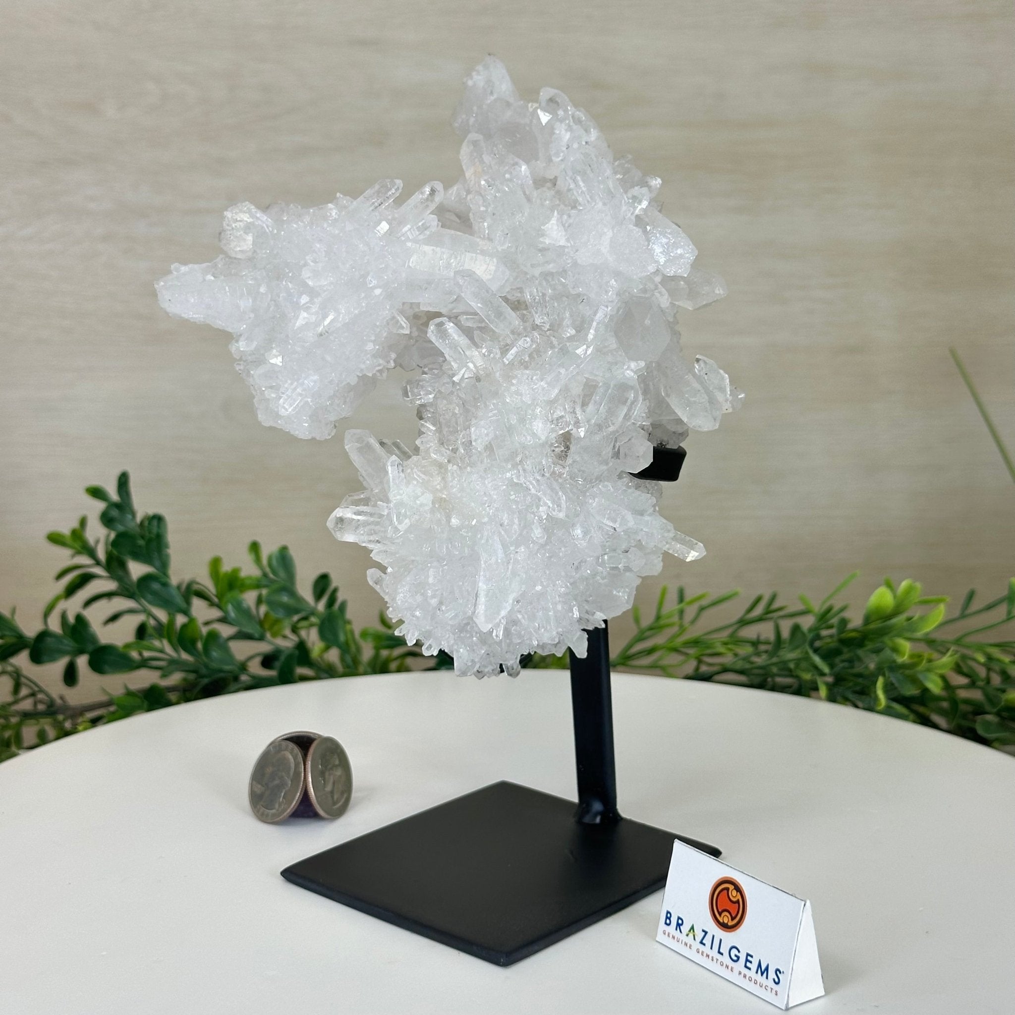 Super Quality Clear Quartz Cluster, Metal Stand, 3.2 lbs & 8.7" Tall 5495 - 0083 - Brazil GemsBrazil GemsSuper Quality Clear Quartz Cluster, Metal Stand, 3.2 lbs & 8.7" Tall 5495 - 0083Clusters on Fixed Bases5495 - 0083