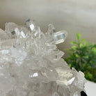 Super Quality Clear Quartz Cluster, Metal Stand, 5 lbs & 6.4" Tall 5495 - 0093 - Brazil GemsBrazil GemsSuper Quality Clear Quartz Cluster, Metal Stand, 5 lbs & 6.4" Tall 5495 - 0093Clusters on Fixed Bases5495 - 0093