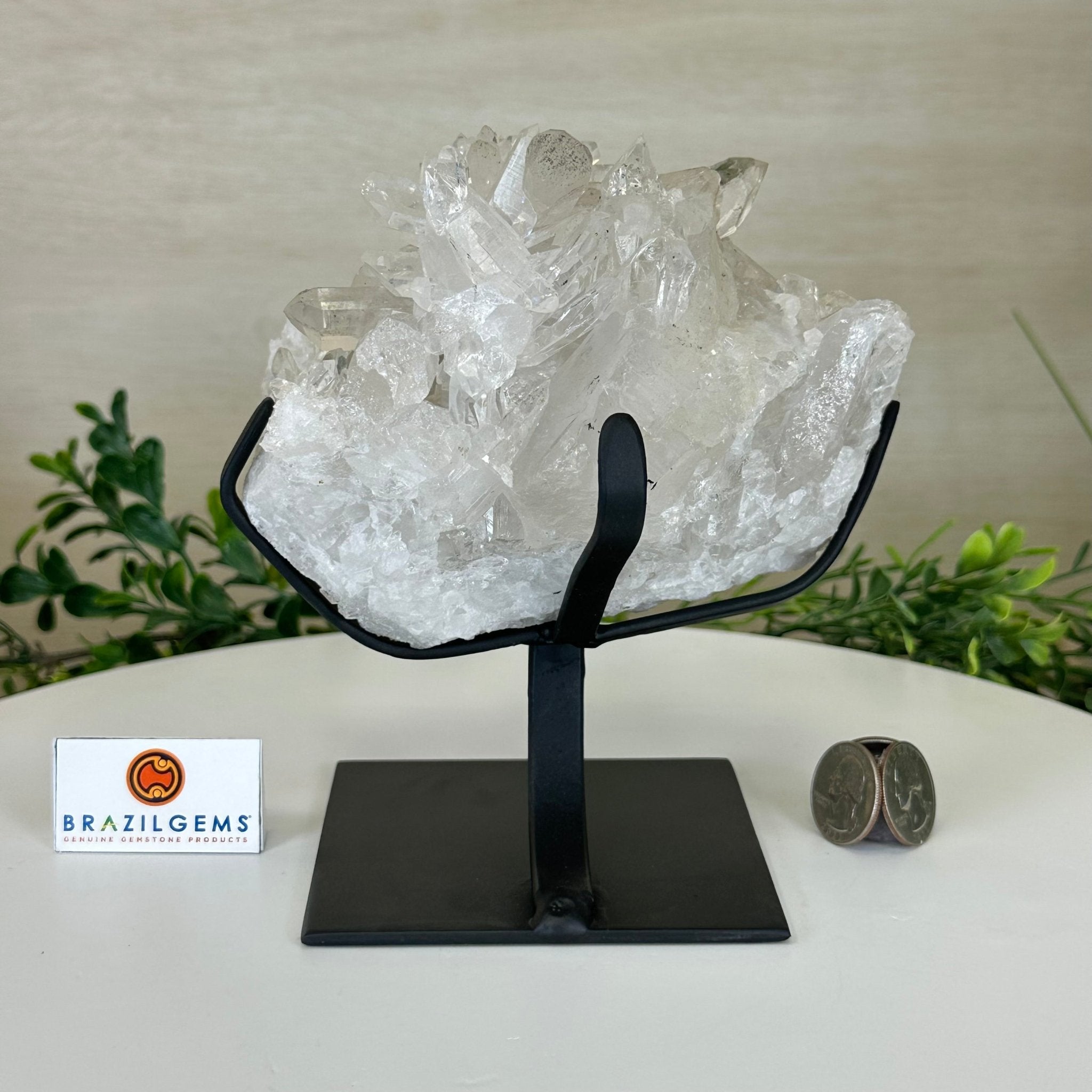 Clear Quartz Crystal Cluster For Sale by Brazil Gems® #5495-0093