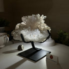 Super Quality Clear Quartz Cluster, Metal Stand, 5 lbs & 6.4" Tall 5495 - 0093 - Brazil GemsBrazil GemsSuper Quality Clear Quartz Cluster, Metal Stand, 5 lbs & 6.4" Tall 5495 - 0093Clusters on Fixed Bases5495 - 0093