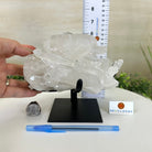 Super Quality Clear Quartz Cluster, Metal Stand, 6.1 lbs & 6.2" Tall 5495 - 0098 - Brazil GemsBrazil GemsSuper Quality Clear Quartz Cluster, Metal Stand, 6.1 lbs & 6.2" Tall 5495 - 0098Clusters on Fixed Bases5495 - 0098