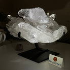 Super Quality Clear Quartz Cluster, Metal Stand, 6.1 lbs & 6.2" Tall 5495 - 0098 - Brazil GemsBrazil GemsSuper Quality Clear Quartz Cluster, Metal Stand, 6.1 lbs & 6.2" Tall 5495 - 0098Clusters on Fixed Bases5495 - 0098