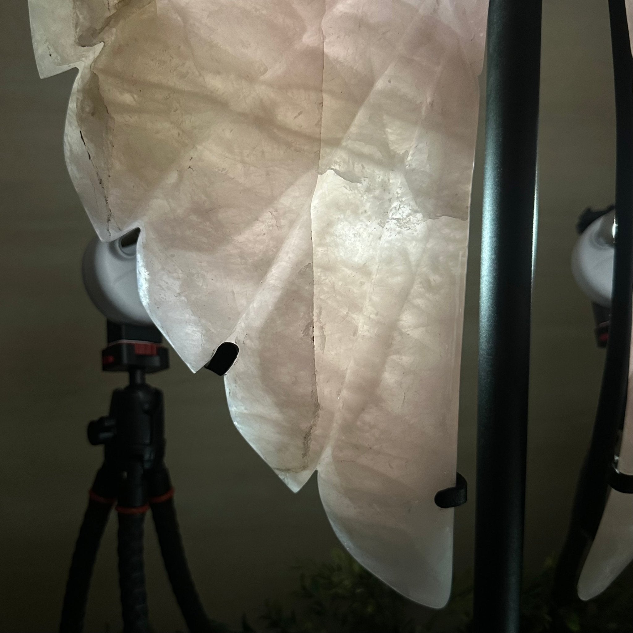 Super Quality Rose Quartz Angel Wings on a Metal Base, 29.7 lbs & 26.2" Tall #4444RQ - 001 - Brazil GemsBrazil GemsSuper Quality Rose Quartz Angel Wings on a Metal Base, 29.7 lbs & 26.2" Tall #4444RQ - 001Carved Angel Wings4444RQ - 001