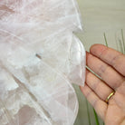 Super Quality Rose Quartz Angel Wings on a Metal Base, 29.7 lbs & 26.2" Tall #4444RQ - 001 - Brazil GemsBrazil GemsSuper Quality Rose Quartz Angel Wings on a Metal Base, 29.7 lbs & 26.2" Tall #4444RQ - 001Carved Angel Wings4444RQ - 001