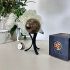 Super Quality Smoky Quartz Sphere on a Metal Stand, 0.5 lbs & 4.7" Tall #5636 - 0001 - Brazil GemsBrazil GemsSuper Quality Smoky Quartz Sphere on a Metal Stand, 0.5 lbs & 4.7" Tall #5636 - 0001Spheres5636 - 0001