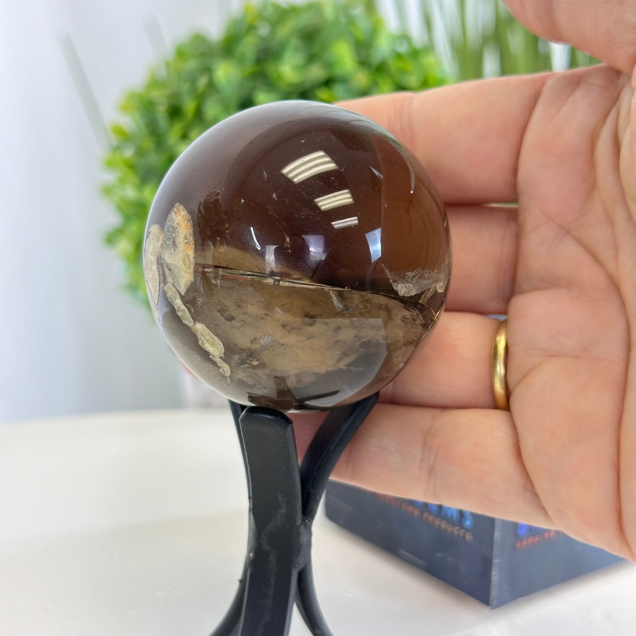 Super Quality Smoky Quartz Sphere on a Metal Stand, 0.5 lbs & 4.7" Tall #5636 - 0001 - Brazil GemsBrazil GemsSuper Quality Smoky Quartz Sphere on a Metal Stand, 0.5 lbs & 4.7" Tall #5636 - 0001Spheres5636 - 0001