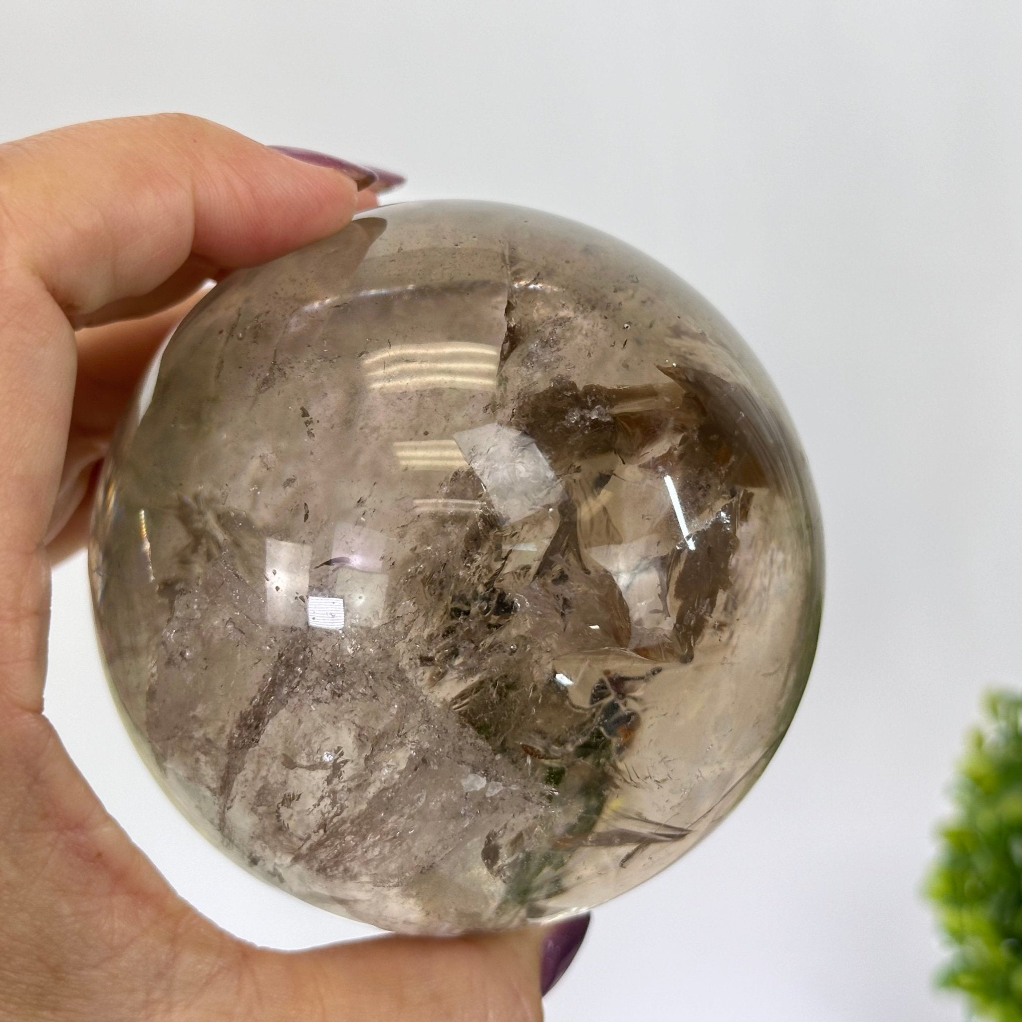 Super Quality Smoky Quartz Sphere on a Metal Stand, 1.9 lbs & 7.1" Tall #5636 - 0006 - Brazil GemsBrazil GemsSuper Quality Smoky Quartz Sphere on a Metal Stand, 1.9 lbs & 7.1" Tall #5636 - 0006Spheres5636 - 0006