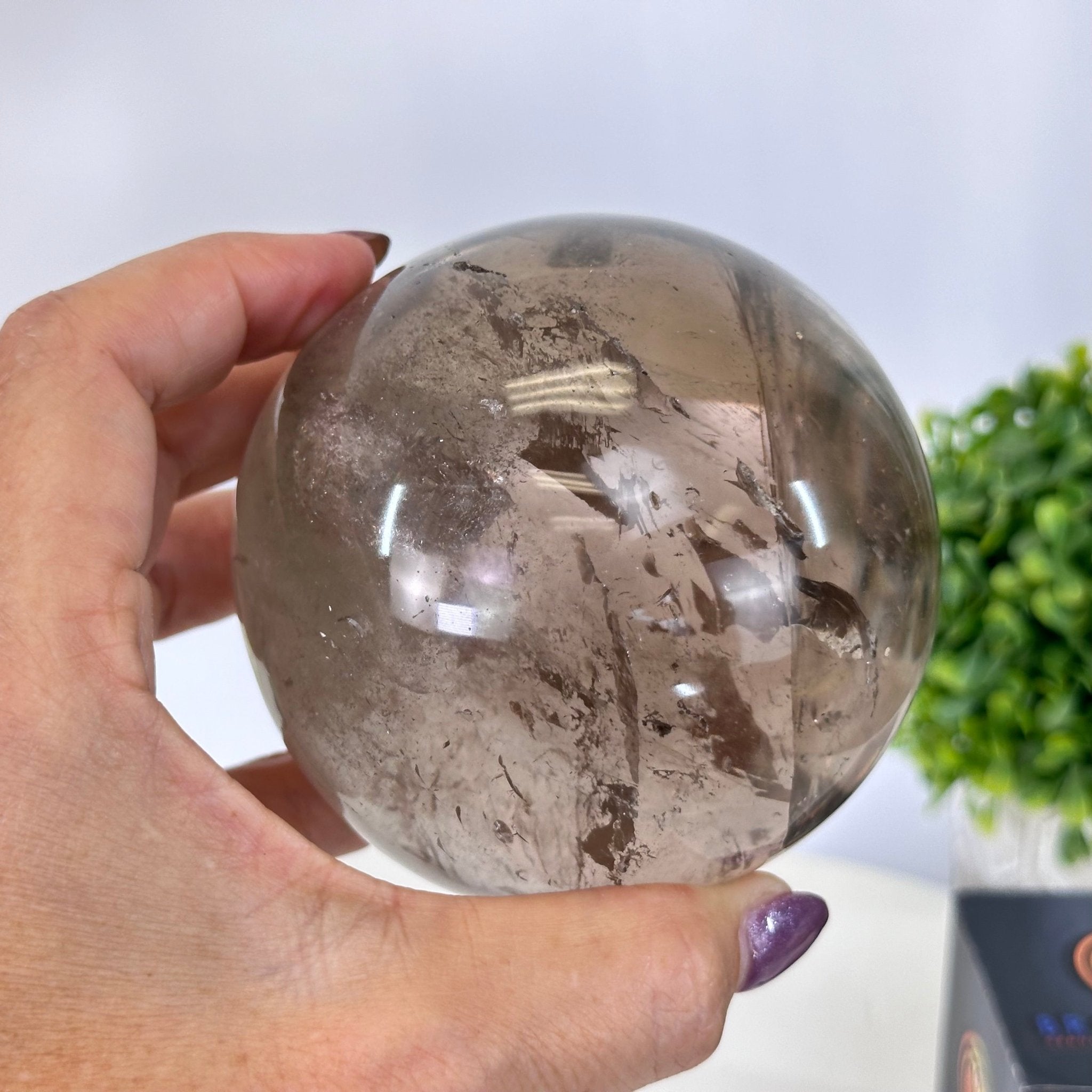 Super Quality Smoky Quartz Sphere on a Metal Stand, 2.2 lbs & 7.4" Tall #5636 - 0007 - Brazil GemsBrazil GemsSuper Quality Smoky Quartz Sphere on a Metal Stand, 2.2 lbs & 7.4" Tall #5636 - 0007Spheres5636 - 0007